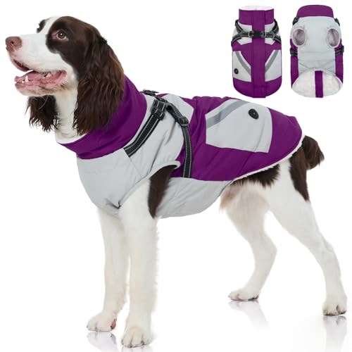 Top 5 Large Waterproof Dog Coat With Built In Harness