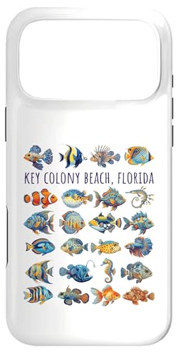 �L�[�R���j�[�r�[�`�t�����_�J���t���t�B�b�V���f�U�C�� �X�}�z�P�[�X iPhone 17 Pro Max �p