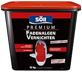 Söll