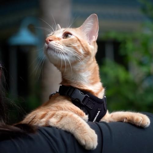 Image of Voyager Escape-Proof Step-in Lock Cat Harness & 5ft Neoprene-Handle Leash Set All-Weather Mesh with Reflective Stitching for Small to Large Cats by Best Pet Supplies, Black, XXS