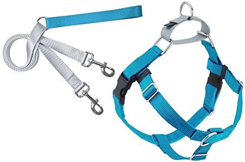 Freedom No-Pull Dog Harness and Leash, Adjustable Comfortable Control for Dog Walking, Made in USA (XSmall 5/8") (Turquoise)