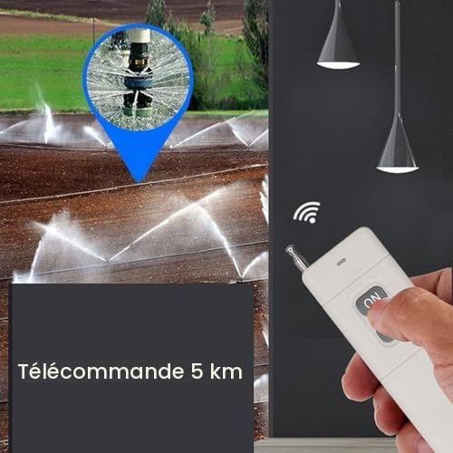 Commutateur à Distance sans Fil RF Portée 5000M Contrôle 360 pour Pompes à Moteur et Lumières Monophasé