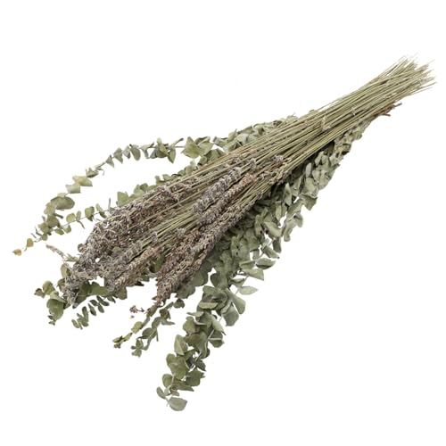 Ramo de hojas de eucalipto y lavanda seca para decoración miniatura 1