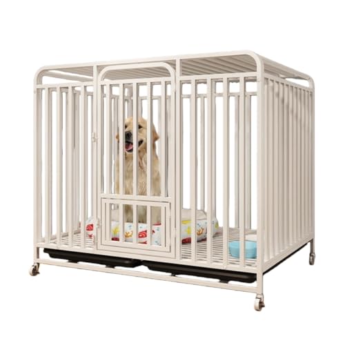 pP[W/ybgz[ptFXA厺/gCE@\tALpP[WA^pB (109*73*95cm,zCg)