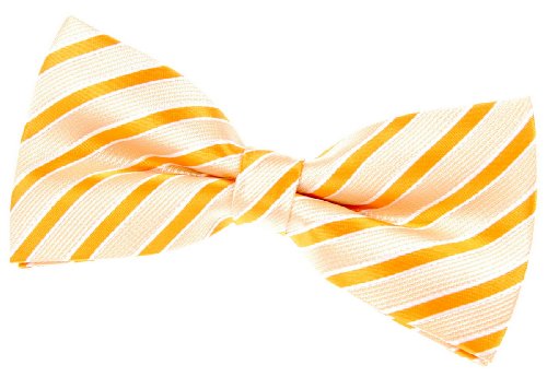 Retreez Two-Colour Stripe Woven Pre-tied Bow Tie (5