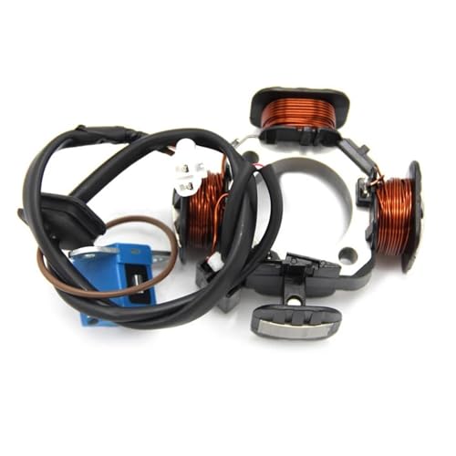 Bobine de stator pour réparer l'allumage en panne du Suzuki LTZ90 Quadsport