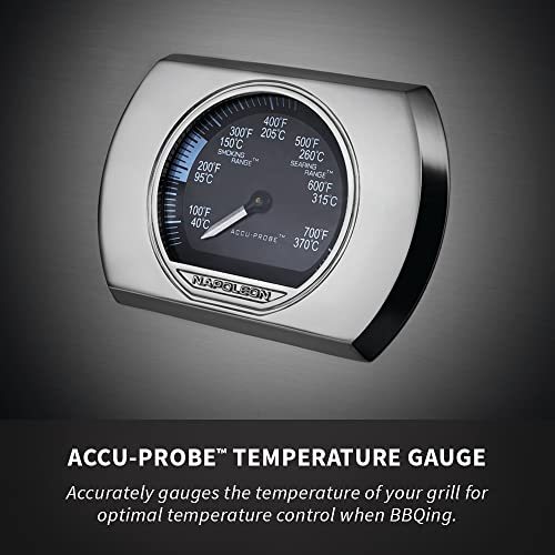 Napoleon Prestige PRO thumbnail 10