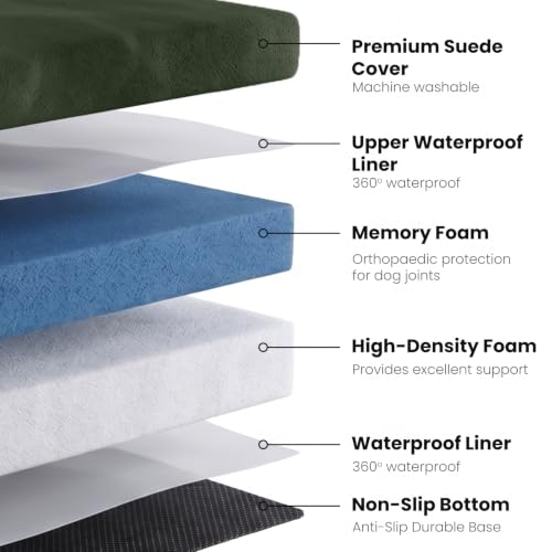 Image of Laifug Orthopedic Memory Foam Extra Large Dog Bed with Pillow and Durable Water Proof Liner & Removable Washable Cover & Smart Design (Large (40 inchx25 inchx5.5 inch), Dark Green)
