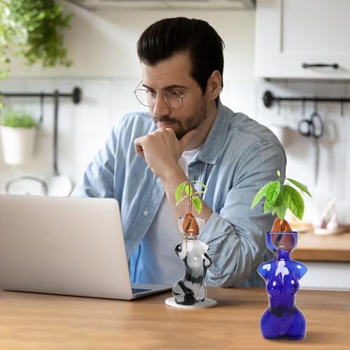 Vasos de propagação, vaso de vidro para plantas, vasos de propagação, vaso de flores exclusivo para