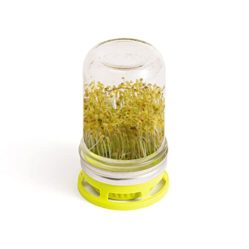 Jarware Seed Sprouter Lids Set of 2 by Jarware - Image 3