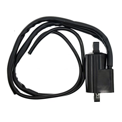 CDI Box Bobine d'Allumage 12V pour Moto Yamaha XJ750 Maxim et XJ900R Seca