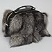Luxury Genuine Nordic Fox Fur Small Square Handbag, Leather Purse with Detachable Crossbody Strap, Elegant and Fashion (Silver)