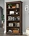 TVU 5-Tier Wooden Bookshelf, 65 Inch Tall Bookshelf with Storage, Floor Standing Modern Style Display Bookcase for Living Room, Office, Study Room, Entryway, Brown