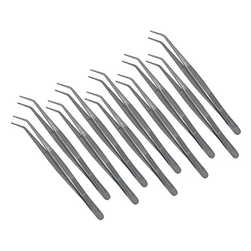 Cynamed Premium Dental College Tweezer Tools-Stainless Steel With Curved Serrated Tip Multipurpose Forceps For Oral Care Denture Teeth Cleaning (10 Pack) #TOP9