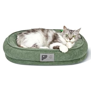 Orthopedic Cat Bed for Puppy and Kitten,Soft Cat Beds for Indoor Cats,Washable Dog Bed with Removable Cover&Non-Slip Bottom with Four-Sided Bolster Green S