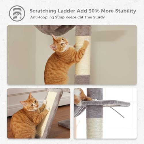 Rascador para Gatos Ajustable PETEPELA 5 Niveles Gris miniatura 6
