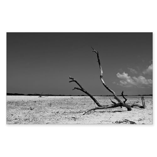 Impressions sur toile art mural désert tableaux image en noir et blanc 40x65cm