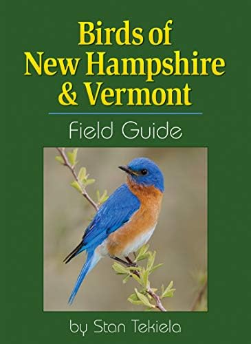 Birds of New Hampshire & Vermont Field Guide (Bird Identification Guides)