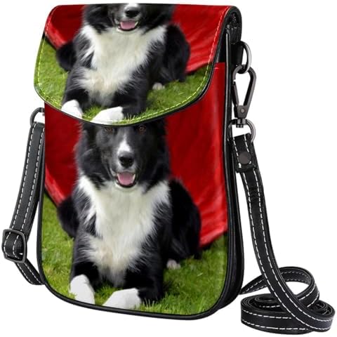 Sac crossbody FVQL Cover