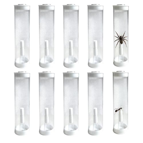 Tubos de crianza de insectos portátiles pack 10 muestra contenedores transparente 12 x 3 cm tapas