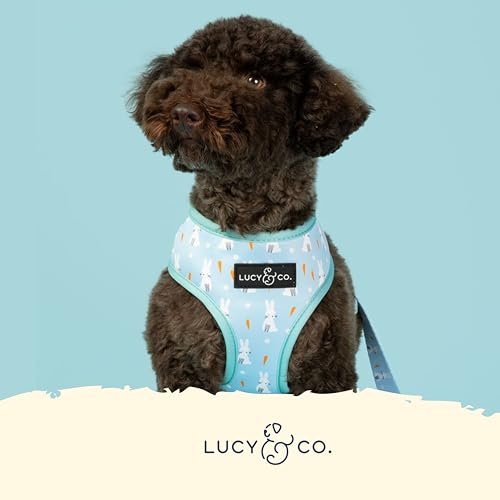 Lucy & Co. Cute Reversible Dog Harness Walking Halter - Best Designer Pet Harnesses for XS - XL Dogs - Padded Adjustable Vest for Easy Walking (X-Small, Funny Bunny)