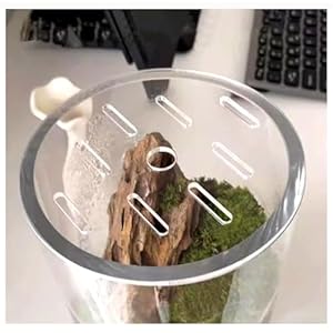 Primst Acryl-Abdeckung Anti-Spring-Deckel mit Loch