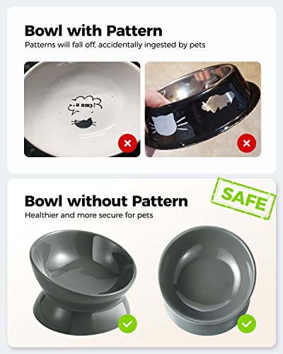 Image of LoeJan Elevated Cat Food Bowl, 5 Oz Ceramic Raised and Tilted Water Bowl, Anti Vomiting and Protect Pets' Spines Dishes for Small Dog, Fat Faced Cat, Kitten (Gray, 1 Pack)