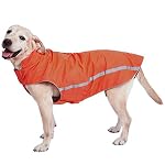 Wasserdichter Hundemantel Hundejacke mit Kragenloch Klettverschluss Fleece gefüttert reflektierender Wintermantel für mittelgroße große Hunde Orange 5XL