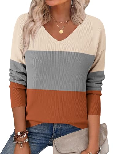 Zeagoo Women's Jumpers Oversize Knitted Sweater Ladies Jumper V Neck Long Sleeve Batwing Tops Classic Pullover for Fall Winter Grey Orange XL