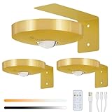 Lightsjoy 3 Pack Picture Lights for Wall Rechargeable Battery Spot Light 3 Color Temperature Dimmable LED Wall Lights Wireless Remote Control Stair Lights Timer Magnetic Art Painting Light Gold - Image 1