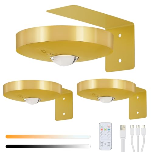 Lightsjoy 3 Pack Picture Lights for Wall Rechargeable Battery Spot Light 3 Color Temperature Dimmable LED Wall Lights Wireless Remote Control Stair Lights Timer Magnetic Art Painting Light Gold