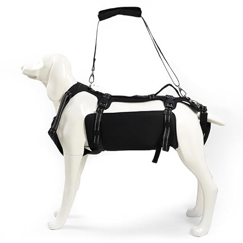 Coodeo Dog Lift Harness, Support & Recovery Sling, Pet Rehabilitation Lifts Vest Adjustable Breathable Straps for Old, Disabled, Joint Injuries, Arthritis, Paralysis Dogs Walk (Black,S)