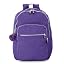 Inlet Purple