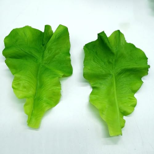 5 Stück simulierte Salatblätter Salatscheiben Gemüse Künstliche Veggie Blätter für Fotografie und Küche Dekor