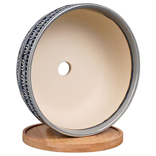 Eightpot 8 Inch Ceramic Succulent Planter Pot With Drainage Hole And Saucer Round Shallow Planter For Indoor Plants, Blue #TOP2