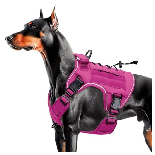 Bruvoalon Heavy-Duty Tactical Dog Harness for Large Dogs, No Pull Adjustable Reflective K9 Vest with Molle System, 12 Colors & 4 Sizes, Military-Grade Control for Training, Outdoor & 10+ Breeds