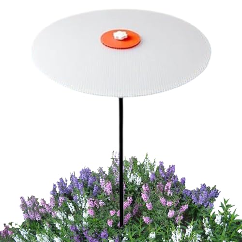 Ombrello per piante – Copertura per ombrellone da giardino da 81 cm, 3 pezzi con supporto in acciaio inox, protegge le piante dalla luce solare dura, ideale per giardino e patio