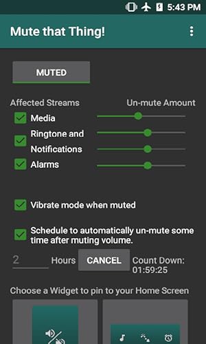 Mute that Thing!