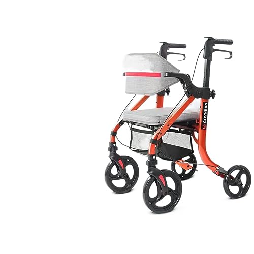 ���s�� ���ʕ��s�� �������\ ���s�⏕�� ��Q�҉����P���p�L�����n�r���� (�u�����Y���ʃI�t�@�[�i�y�_���t���j)