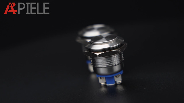 Pulsante Antivandalo INOX 19mm Illuminato con Led Blu Pulsante Antivandalo INOX 19mm Illuminato con Led Blu