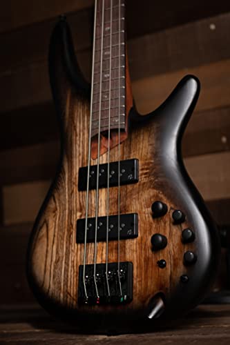 Ibanez Sr Standard 4-String Electric Bass (Antique Brown Stained Burst) #TOP4