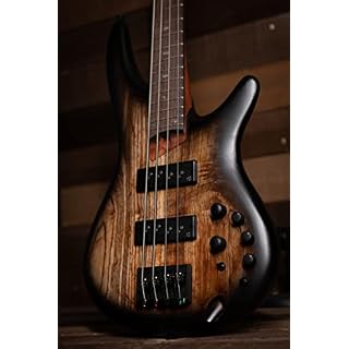 SR600E Antique Brown Stained Burst – Image 5