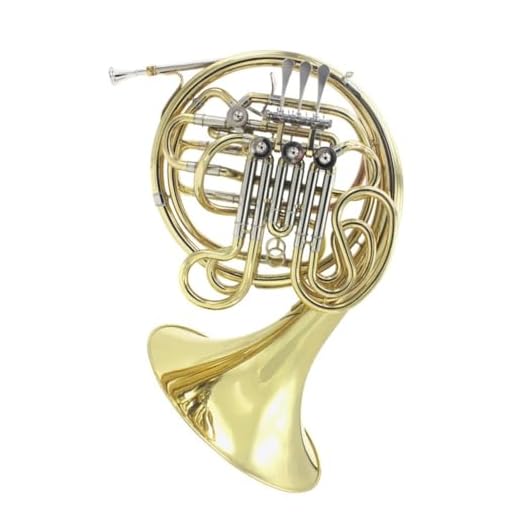 HDYNUZ Trompa Doble de 4 Llaves en si Bemol/FA, trompa de una Pieza, latón Lacado en Oro, para Principiantes, exámenes y desempeño Profesional.