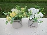 Las plantas en macetas pequeñas son excelentes para decorar baños, alféizares de ventanas, mesas de comedor, puestos de tiendas, bodas y fiestas en el jardín al aire libre. También es un gran regalo para aniversarios, San Valentín, Día de la Madre, etc.