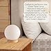 LIGHTACCENTS Bedside Light with LED Bulb – 6W 550 Lumen 2700K – Modern Table Accent with Wood Base and Glass Shade – Nightstand Decor for Bedroom, Office, or Living Room
