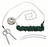 Songbird Essentials Squngee Squirrel Feeder, Amusing Bungee and Bell Squirrel Feeder, Holds 2 Ears of Corn