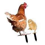 BESPORTBLE Acryl Gartenstecker Huhn und Küken 2 Stück Wetterfestes Gartendekor für Terrasse und Rasen