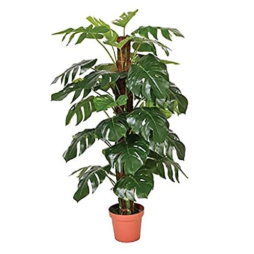 Planta artificial Monstera, 22.0x22.0x135.0 cm