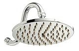 Pollenex DP1005 8-Inch Pouring Rain Showerhead, Chrome with Brass Tips