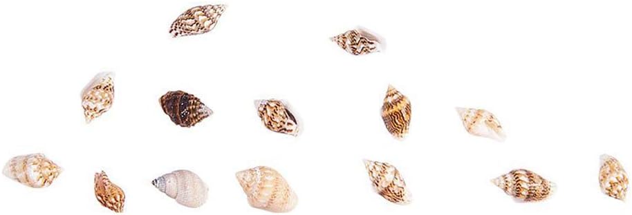 Small Shell Miniature Ocean Beach Fairies Spiral Shell Craft Tiny Garden Beach Critter Seashells Beach 30pcs Decor Mini Conch Party Wedding
